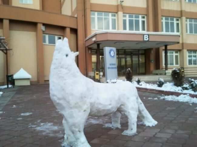 gazi üniversitesi kardan bozkurt