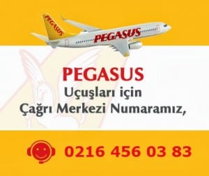 pegasus