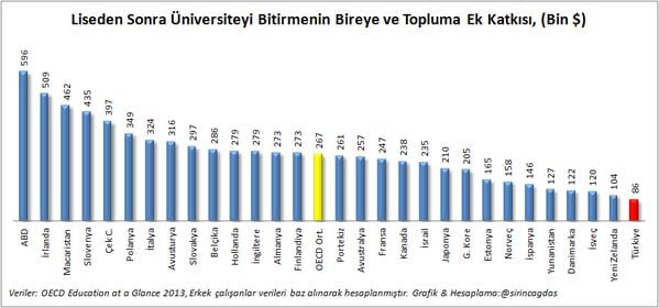 oecd-universite-raporu