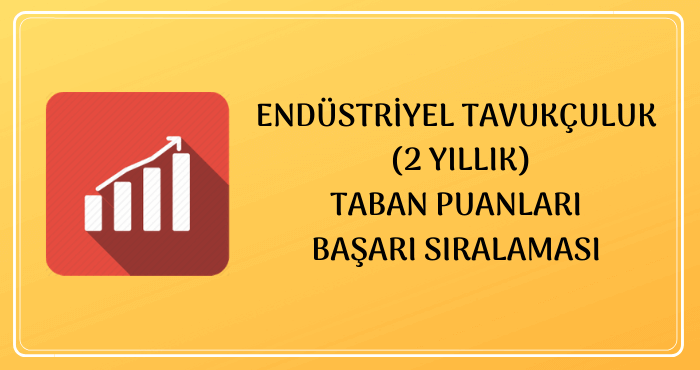 Endüstriyel Tavukçuluk Taban Puanları