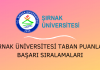 Şırnak Üniversitesi Taban Puanları