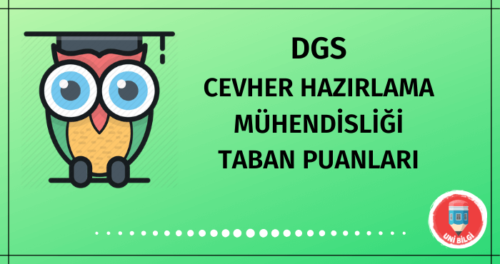 DGS Cevher Hazırlama Mühendisliği Taban Puanları