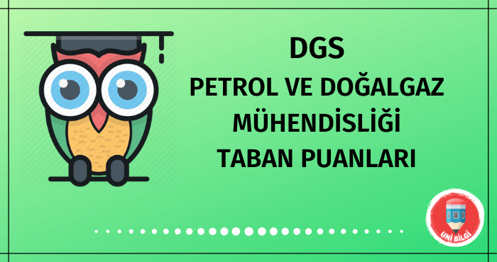 DGS Petrol ve Doğalgaz Mühendisliği Taban Puanları